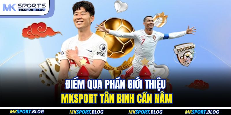 Điểm qua phần giới thiệu MKSPORT tân binh cần nắm