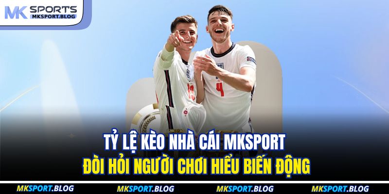 Tỷ Lệ Kèo Nhà Cái MKSPORT - Cập Nhật Nhanh Và Chuẩn Xác 4 Tỷ lệ kèo nhà cái MKSPORT đòi hỏi người chơi hiểu biến động